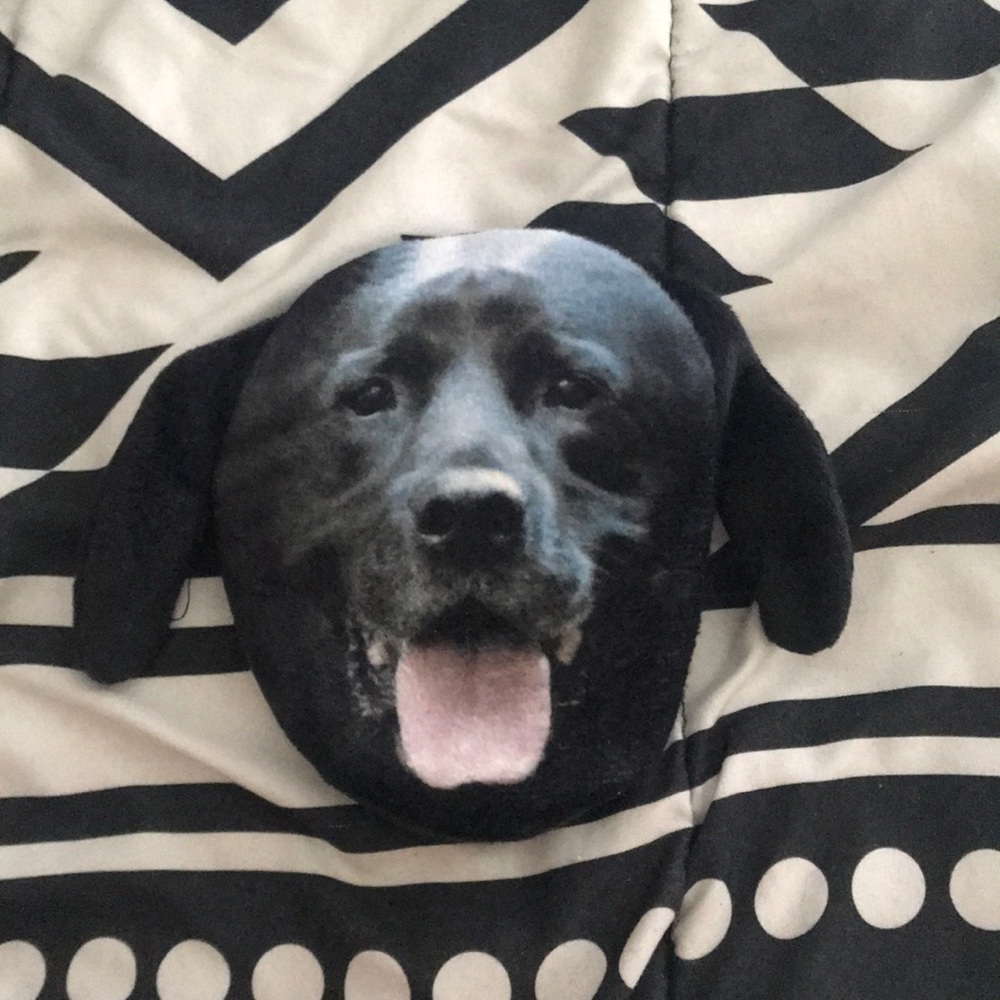 Dog Money Bag